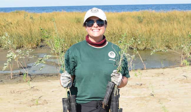 Queen Bess Island planting